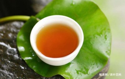 儿童能喝普洱茶吗