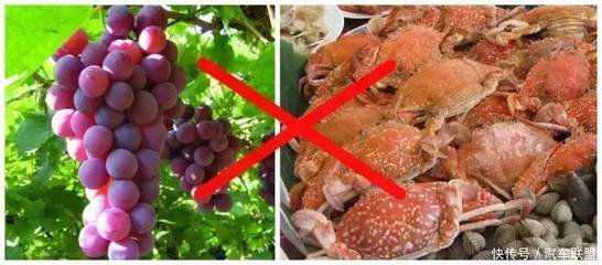 吃螃蟹和葡萄需要多长时间?葡萄和螃蟹之间有三个小时可以吗?