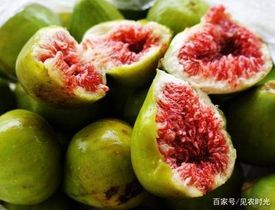 吃无花果可以减肥吗