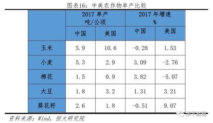 小麦VS玉米全球第一大粮食作物