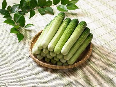 生吃芹菜减肥吗