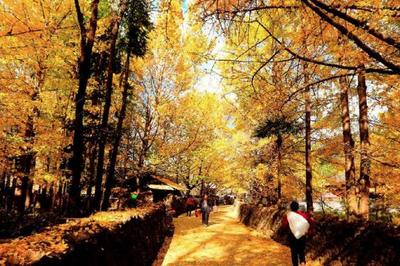 腾冲旅游介绍