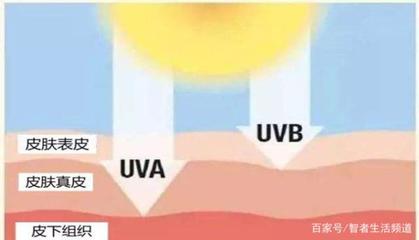 玻璃能阻挡紫外线吗