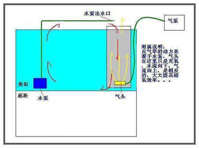 森森水族箱廠家在哪（森森水族箱官網(wǎng)電話） 魚缸/水族箱