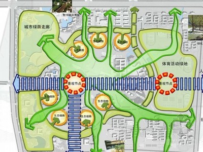 校园道路设计