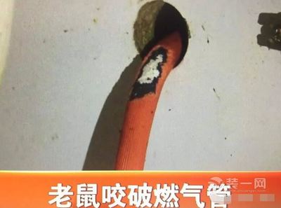 厨房燃气管腐蚀