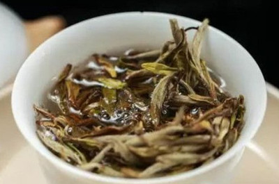 白茶属于哪类茶