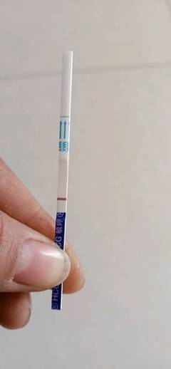 排卵后12天能测出怀孕吗
