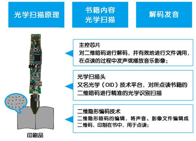 identifcation怎么读
