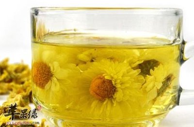菊花茶里可以放冰糖吗