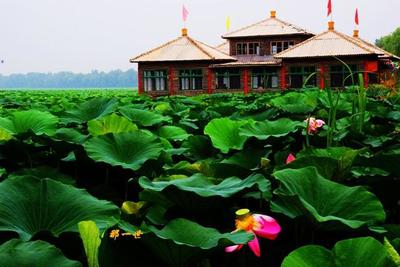 沈阳西湖