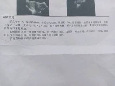 怀孕胚芽是什么意思