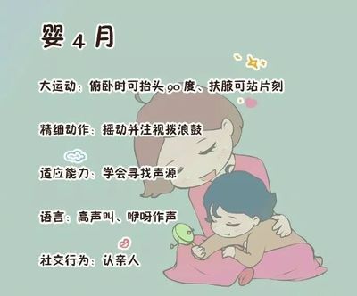 几个月会抬头