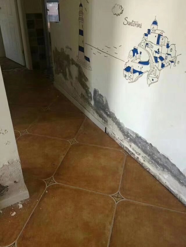 墙面泛碱的原因
