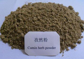 孕妇能吃孜然粉