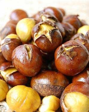 咳嗽可以吃板栗吗
