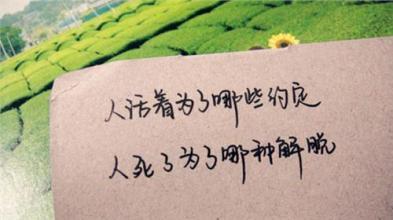 八字情话
