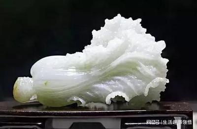 白菜什么寓意