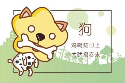 属狗的和属蛇的合财吗