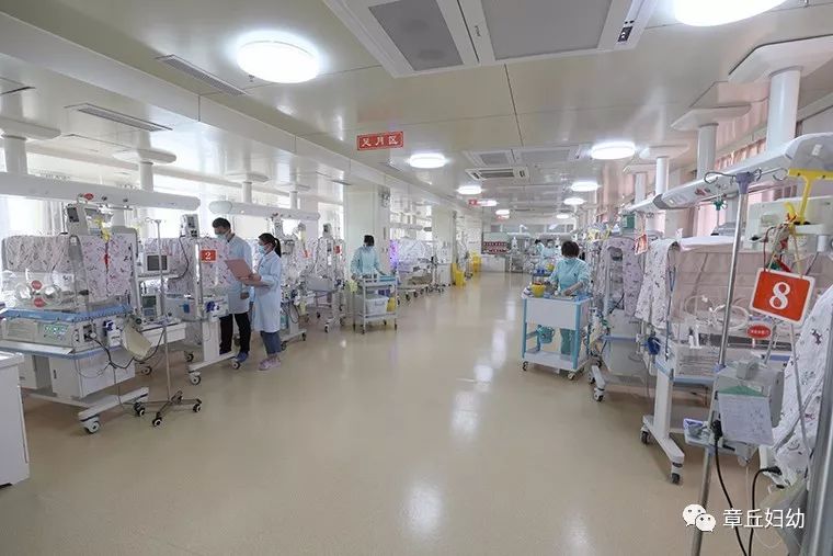 新生儿重症监护室一天多少钱