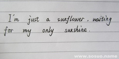 英文名sun