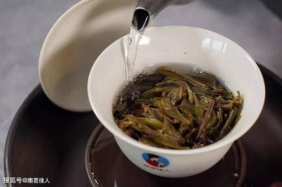 新茶泡多少次