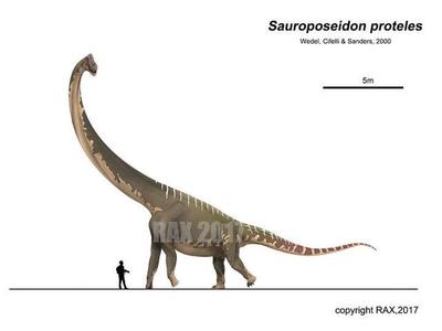 哪种恐龙脖子最长