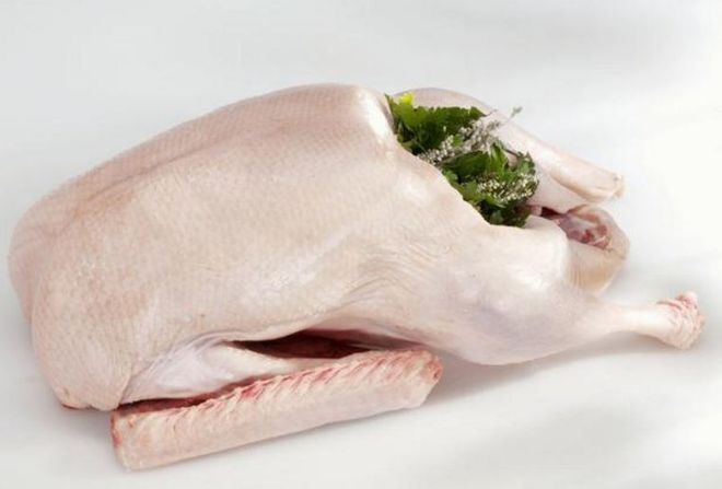 感冒咳嗽能吃鹅肉吗