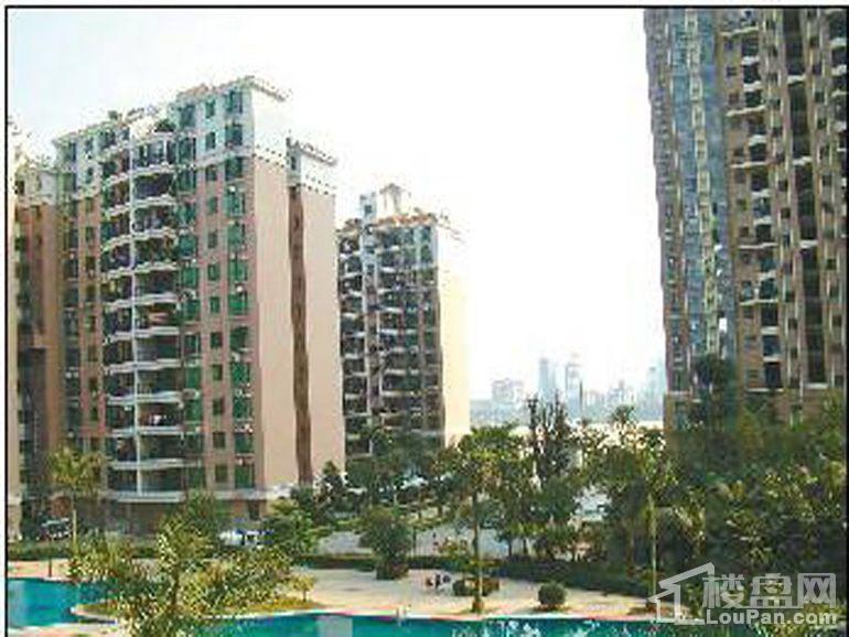 金海湾楼盘