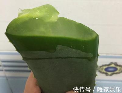 长痘痘可以用芦荟水吗