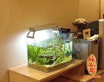 溫州菜籃子錦繡農(nóng)貿(mào)市場(chǎng)何福林水族器材店（溫州菜籃子水產(chǎn)批發(fā)市場(chǎng)在哪里）