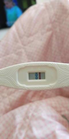 5月怀孕预产期是几月