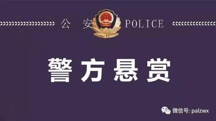 重大刑事案件是指什么