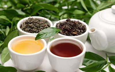 喝哪种茶减肥效果好