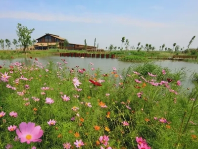 常州蔷薇园湿地公园