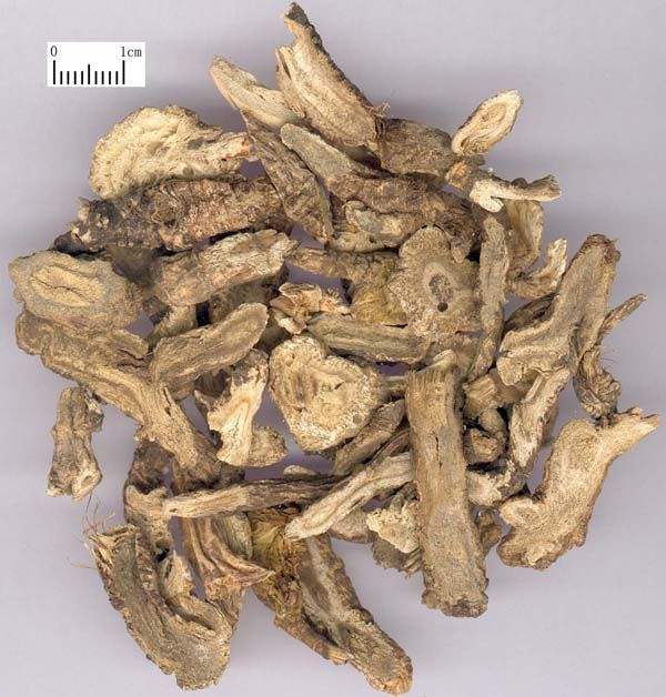 治疗咳嗽的中药配方