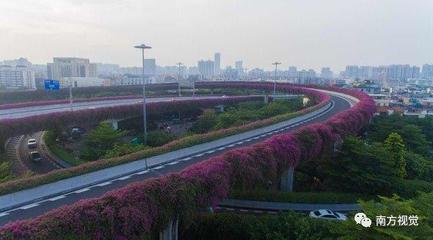 花城广州