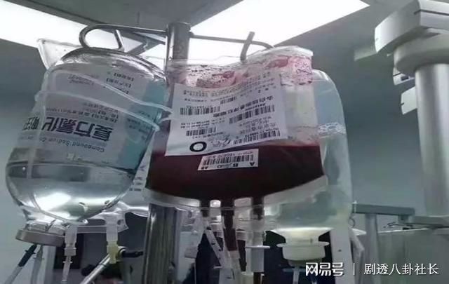 怀孕几个月可以刨腹产