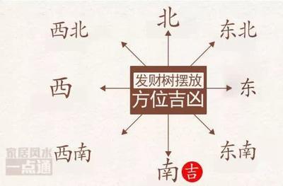 进字五行属什么