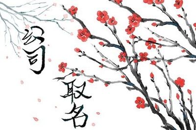 思字取名大全集