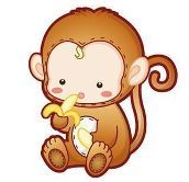 吃力不讨好打一生肖