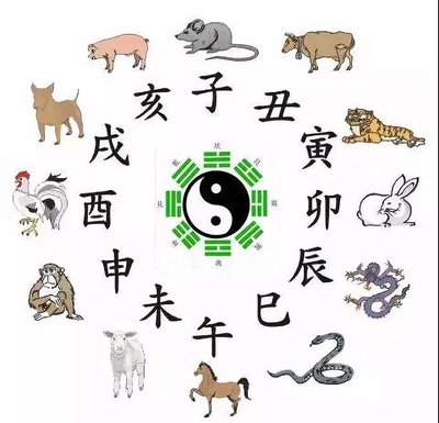 独字生肖是什么生肖