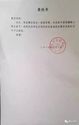 派出所委托书
