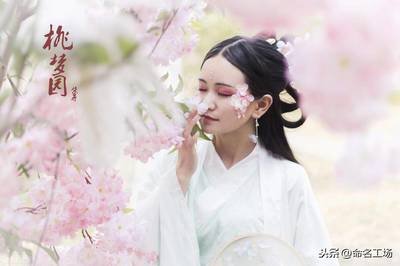 芮是什么意思起名好吗