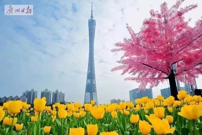 花城广州