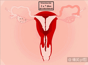 不是排卵期出血是怎么回事