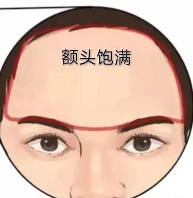 寿星额头 面相