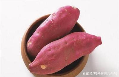 小宝宝能吃红薯吗