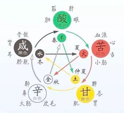 通字五行属什么