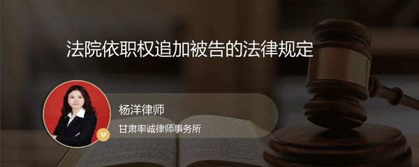 追加被告法律规定